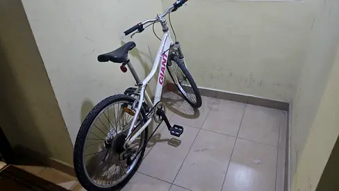 Giant White Mountain Bike for Sale
