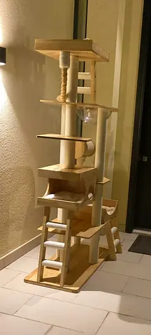 Cat Litter Box
