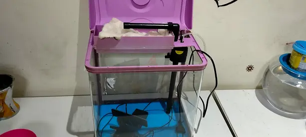 RS electrical RS 320 EL Pink aquarium