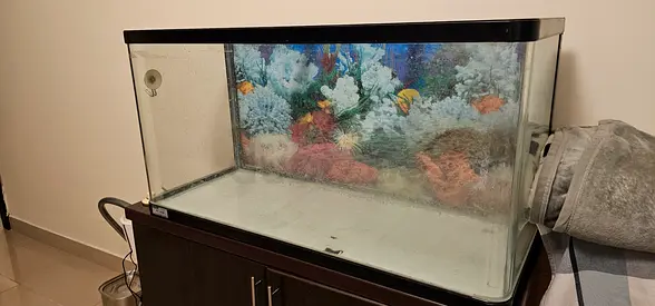 Used 120cm Glass Aquarium Tank with Cabinet