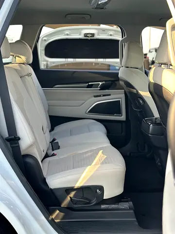 2020 KIA TELLURIDE 照片 18