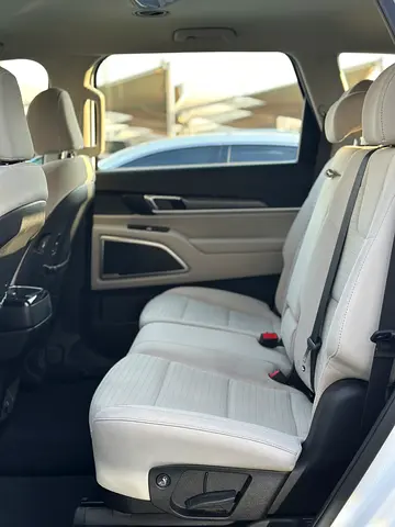 2020 KIA TELLURIDE 照片 16