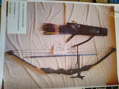 Used Compound Bow with Arrows and Quiver
