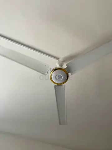 White 3-Blade Ceiling Fan - Perfect Working Condition with Regulator