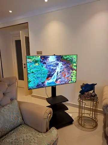 TV