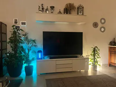 TV Media Unit