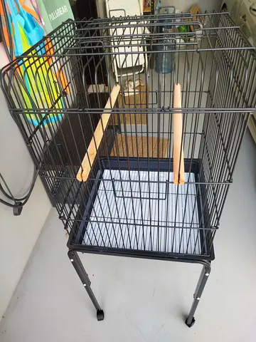 Birds cage
