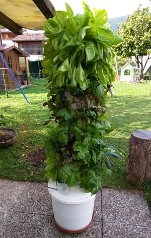 Hydroponic Vertical Garden (Complete kit)