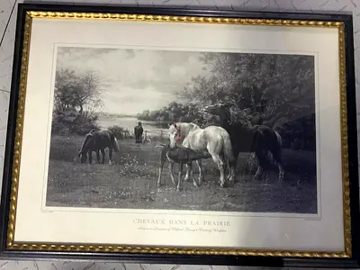 Framed  Print Chevaux Dans La Prairie – Horses in Prairie