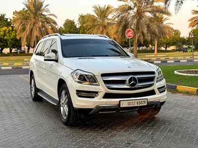 2014 Mercedes-BENZ GL 照片 5