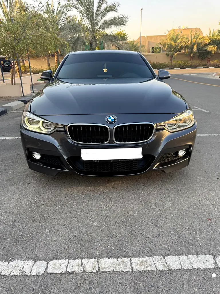 BMW 3-Series 2018 — photo 1 of 8
