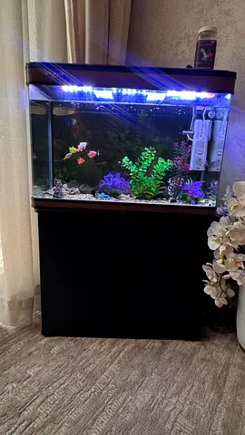 Aquarium