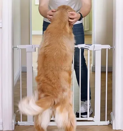 Pet and Child Gate