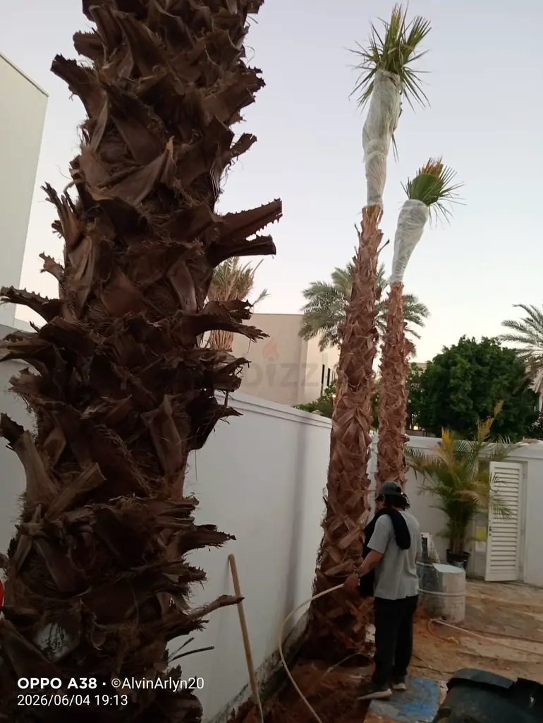 DPV_View_Image_1