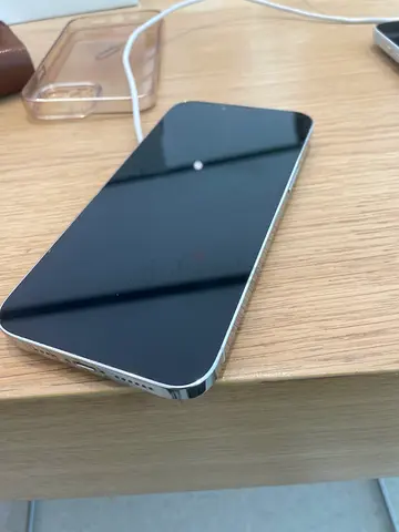 iPhone 13 Pro Max metallic white