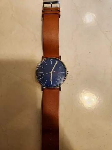 Men watch Skagen
