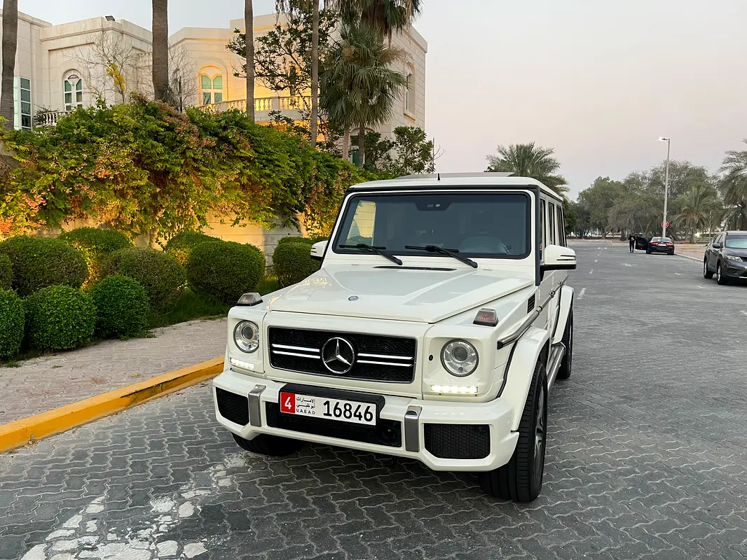 Mercedes-Benz G-Class 2015 — photo 1 of 20