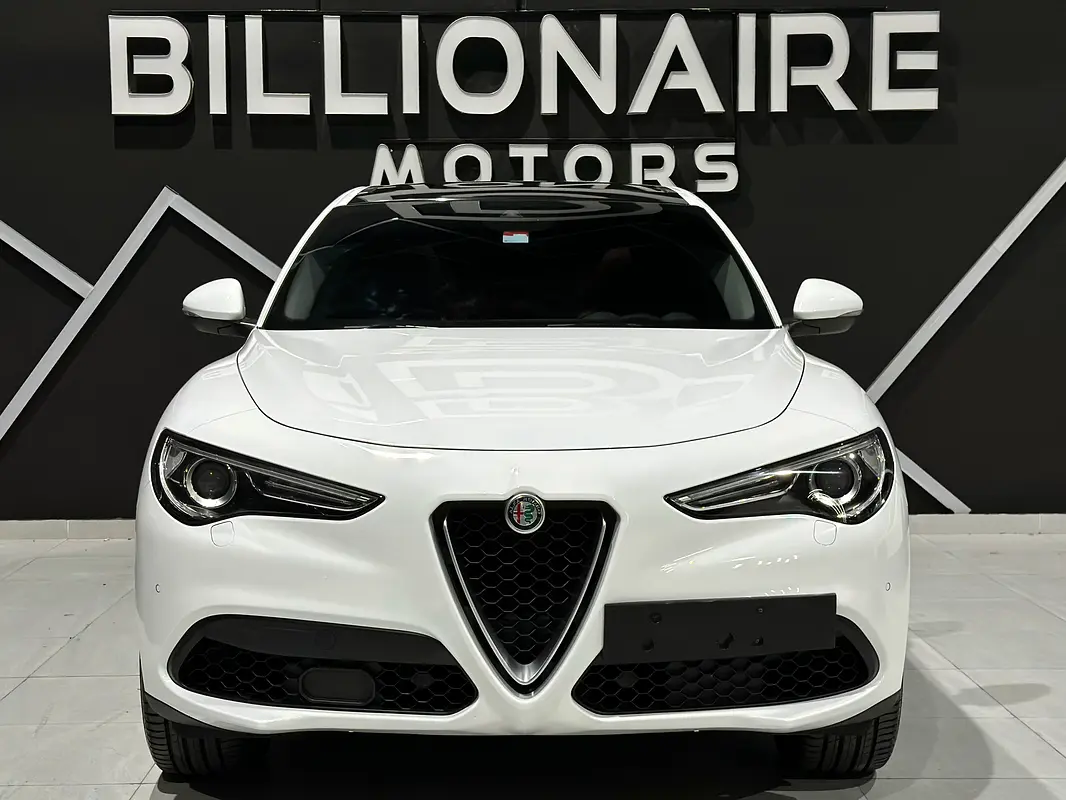 Alfa Romeo Stelvio 2019 — photo 1 of 19
