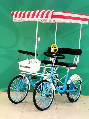 Quadricycle 2 Seater Canopy Bike With 4 Tyres