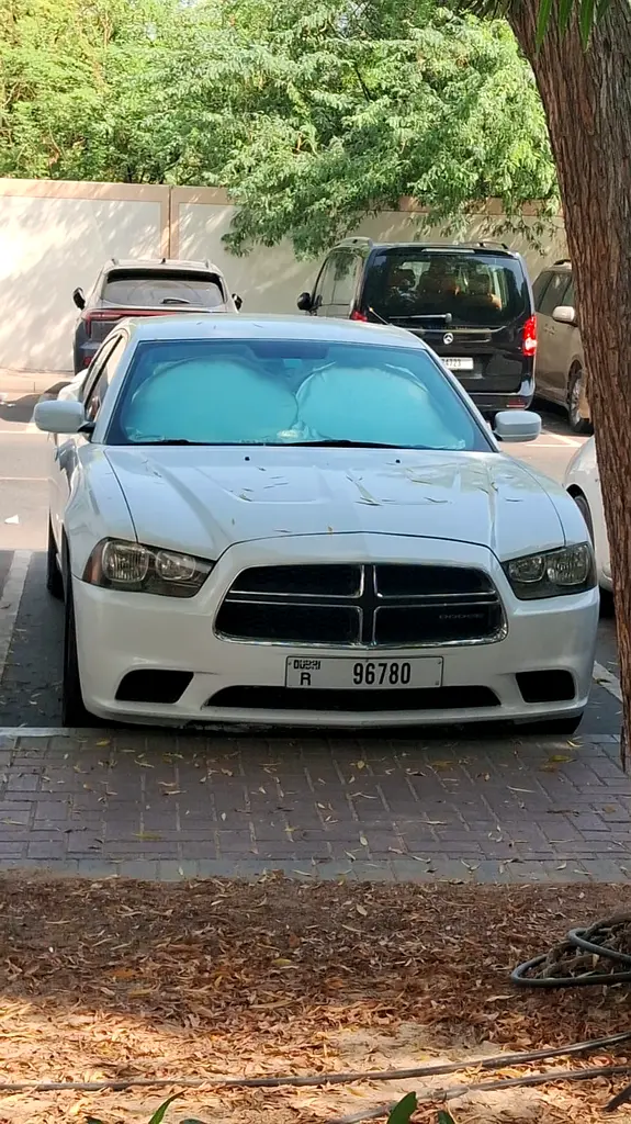 Dodge Charger 2011 — photo 1 of 5