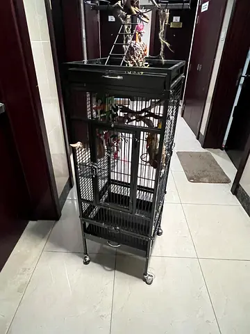 Large metal bird parrot cage on wheels with perches and toys