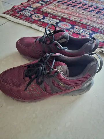 Hiking shoes