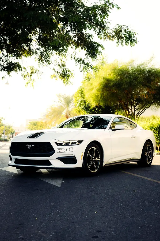 Ford Mustang 2024 — photo 1 of 13