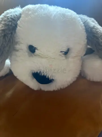 Teddy bear