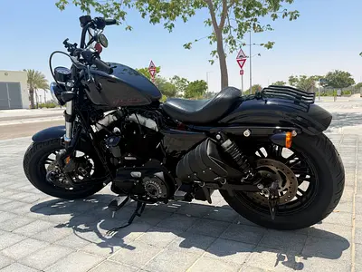Harley Davidsson XL 1200 c 48