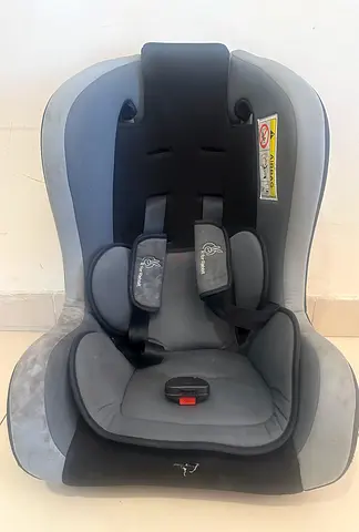 R for Rabbit baby car seat