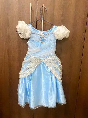 Original Disney  costumes worn only once.