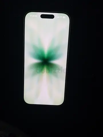 Apple 17, green, 256GB, purchased 2 months ago. warranty period