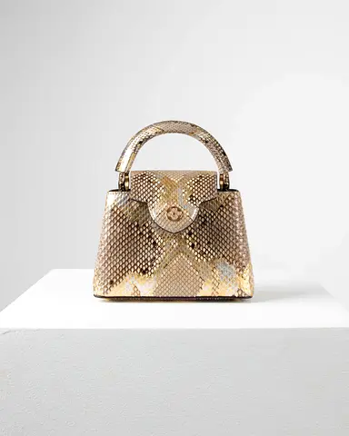 Louis Vuitton Capucine Bag