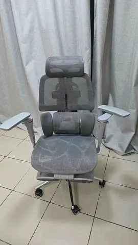 Ergonomic Mesh Office Chair with Headrest and Lumbar Support - Grey