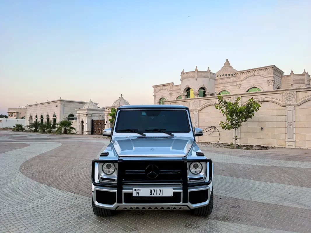Mercedes-Benz G-Class 2017 — photo 1 of 18