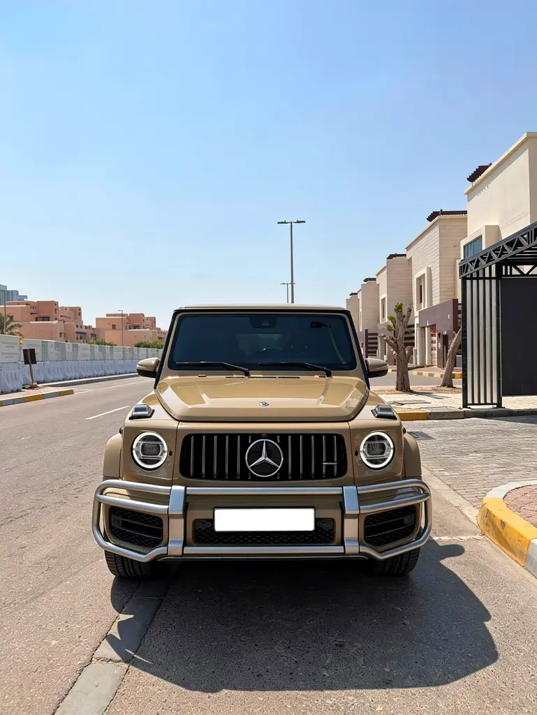 Mercedes-Benz G-Class 2019 — photo 1 of 6