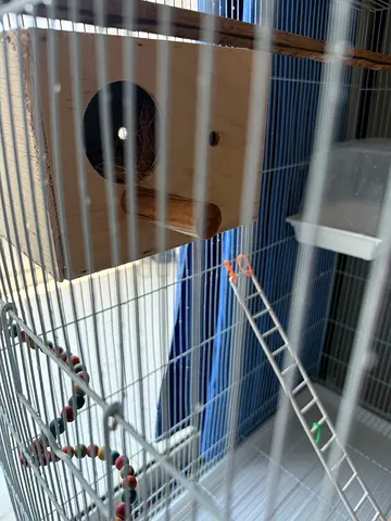 One Big Cage,with nesting box, bathing box,cage cover and ladder