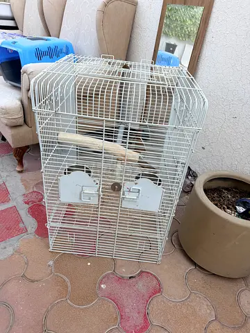Birds cage