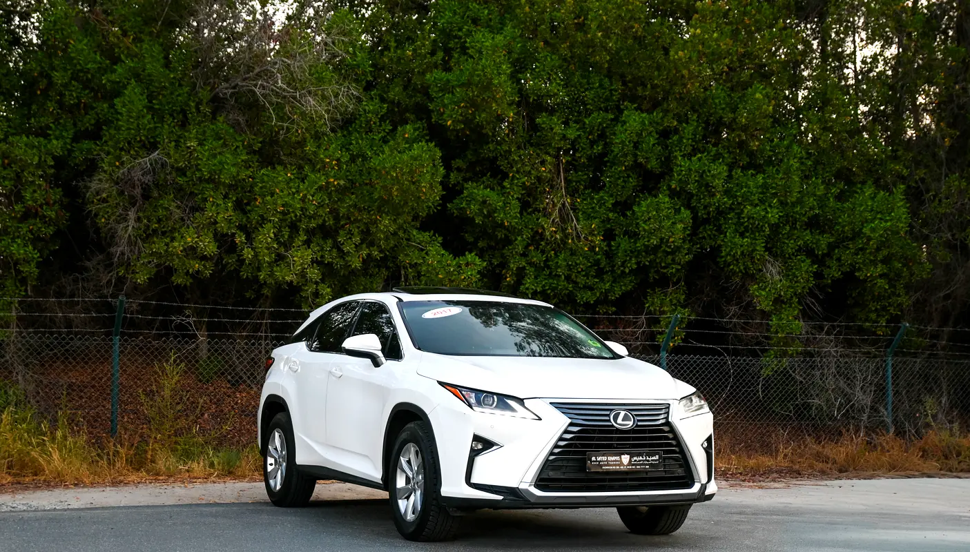 Lexus RX-Series 2017 — photo 1 of 20