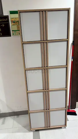 Slim 6-Compartment Storage Cabinet with Frosted Doors
