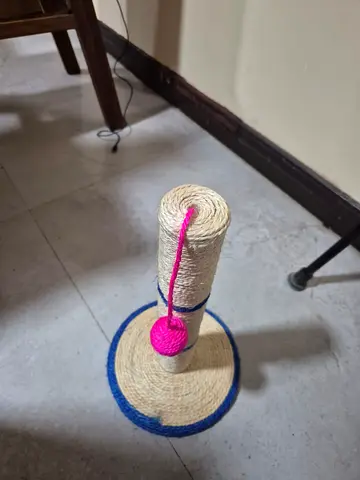 Cat scratching post with hanging toy - litter box with scoop and cat bed