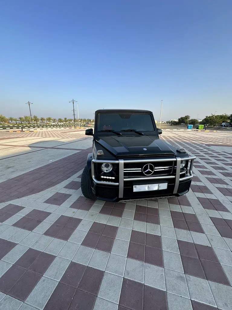 Mercedes-Benz G-Class 2017 — photo 1 of 10