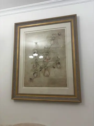 Framed vintage botanical print - floral wall art