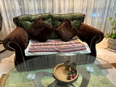 Used 2-Seater Velvet Sofa with Cushions
