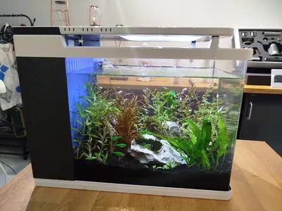 40CM Planted Aquarium with Internal Filter and Touch Light System