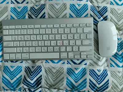 Apple Wireless Keyboard and Magic Mouse — Good Working Condition