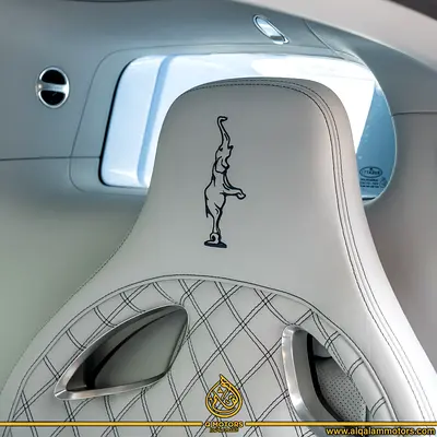 2023 Bugatti CHIRON 照片 14