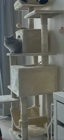 Tall beige cat tree with multiple levels  - very good condition