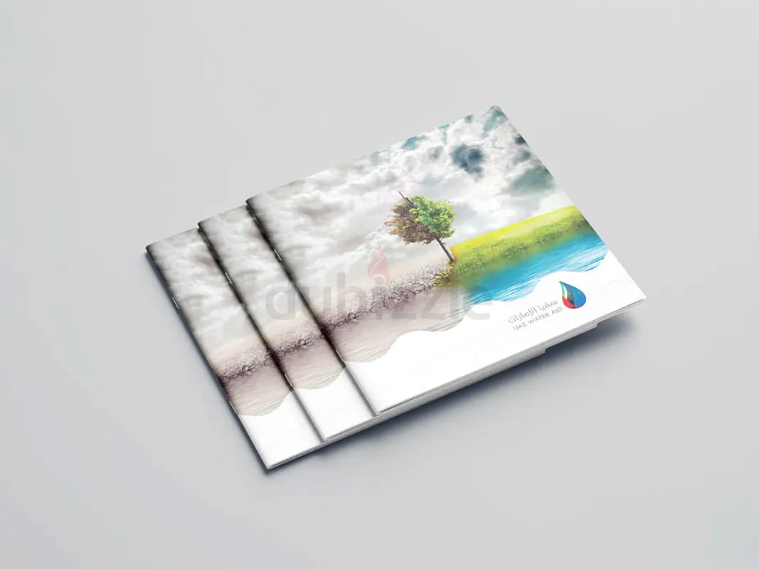 DPV_View_Image_4