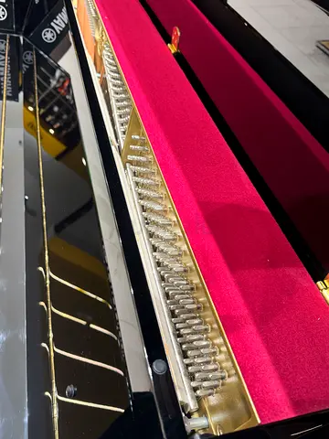 Acoustic piano